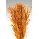 WILD OATS  38" Autumntone-OUT OF STOCK